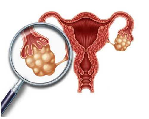 南昌哪家代孕医院好|南昌有做三代试管婴儿的医院吗