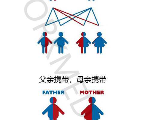 中国试管必须有结婚证吗？,地下供卵试管