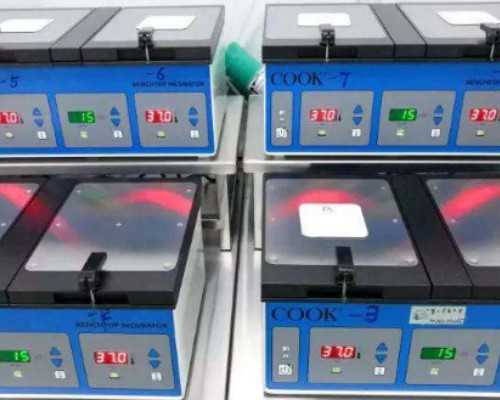 怀孕多久有反应_育儿心得范文50字,申请使用赤峰精子库精子进行人工助孕都需