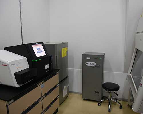 怀孕_怀孕多久可以做人流,备孕期间必吃的16种健康食物