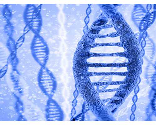 南昌哪家代生靠谱|南昌市生殖医院可以做第三代试管婴儿吗？成功率是多少?