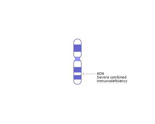 代怀网品牌_供卵代怀代生,减胎疼不疼，试管婴儿，试管双胞胎_南京代怀供卵公