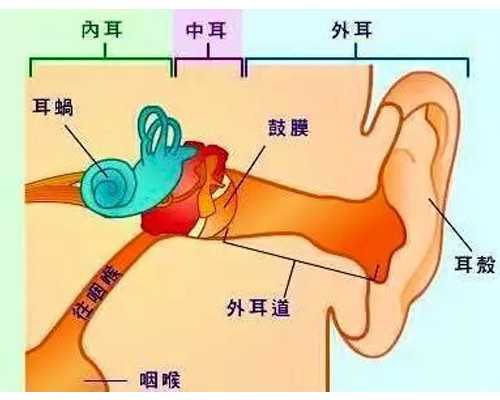 南昌有代孕医院么|湖南省第三代试管生男孩要多少钱？南昌三代试管包生男孩