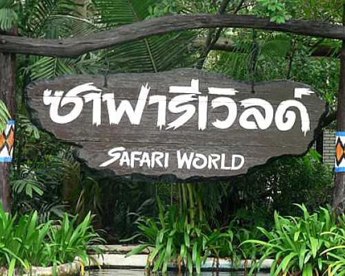 三院三代试管成功率_Aaa69吕进峰,试管婴儿移植失败前兆是什么_上海专业供卵机