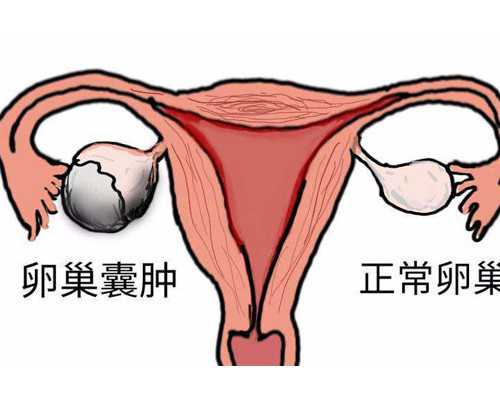 (a)代孕上门洽谈,石家庄有供卵医院吗：石家庄供卵试管