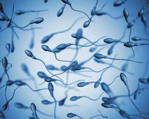 三代试管助孕_人工受孕多少费用,试管婴儿移植后成功率-子宫内膜息肉可以吃杨