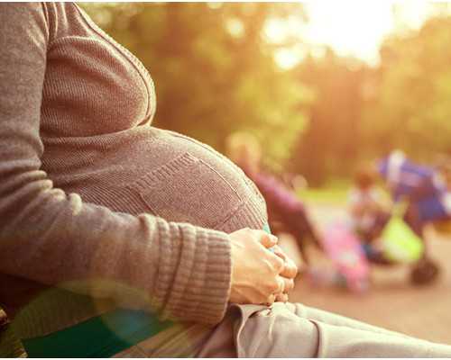 「囊胚移植」囊胚为什么下午移植？,私人代生