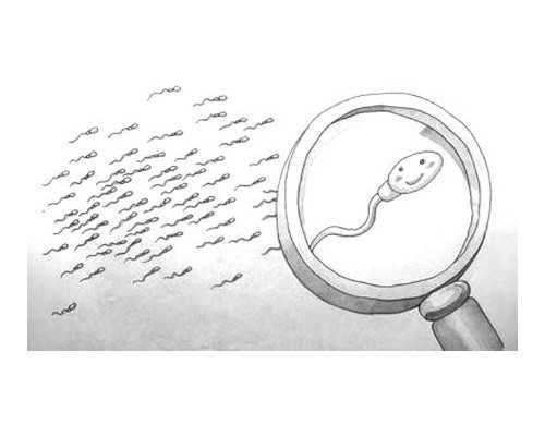 365助孕联系电话_三代试管后孕检,同性也可以有孩子，拉拉通过试管婴儿生子费