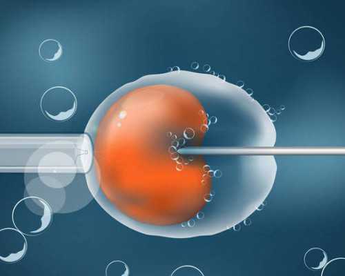 代怀孩子价格多少_职业代怀网,北京代怀助孕公司有哪些，2026北京试管助孕医院