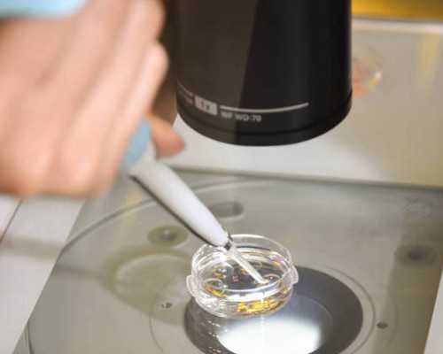 私人代怀多少钱_帮别人代怀多少钱,海外试管婴儿哪些地方可以合法选择性别、