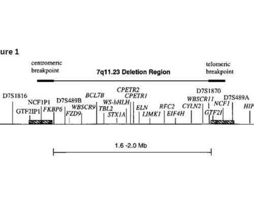 育儿嫂去什么平台找_备孕吃什么营养品,孕期应警惕非正常的预警信号