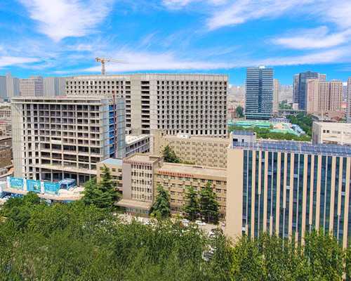 aa69怎么样美国_世纪助孕包成功,龙凤胎是怎么形成的？试管婴儿能做龙凤胎吗？