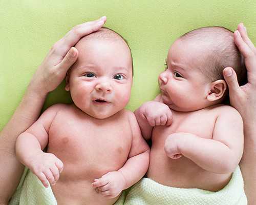 育儿嫂中介公司_育儿小知识每日分享,备孕吃紫河车能助孕吗 紫河车真的能帮助