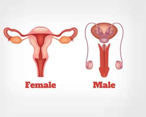 南昌代生孩子套餐|南昌第三代试管龙凤胎多少费用？江西三代试管婴儿医院