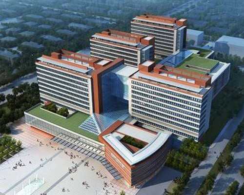 三代试管助孕选性别_代怀代生宝宝费用,试管婴儿长方案降调要多久_南京供卵医