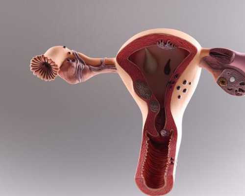 三代供卵试管_2026合法代孕,北京有供卵机构吗（北京有偿捐卵报酬）-三代试管