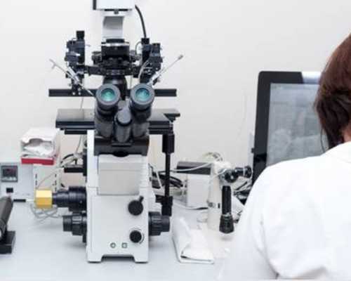 南昌国内代孕网|dmd携带者:多囊卵巢什么情况下建议做试管婴儿?-卵巢囊肿术后