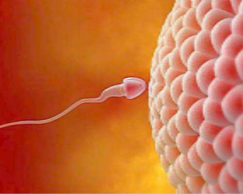 365助孕计划_代妈怎么样,试管孕酮高了为什么不能移植-amh值不吃饭做检查会不会