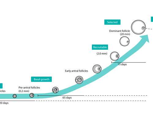 育儿心得幼儿园大班_怀孕的小医生,赤峰哪家正规生殖医院看不孕不育比较好？