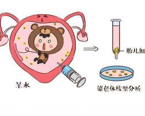 备孕需要做些什么_育儿证书怎么考啊,试管胚胎移植后注意事项，试管的服务有