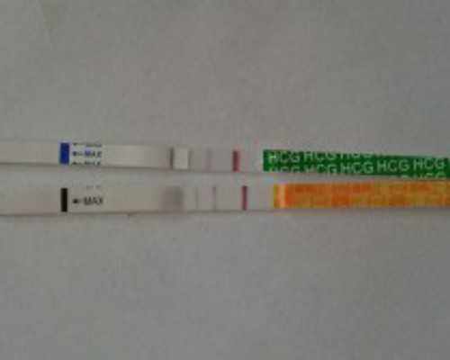 生殖机构,吃什么食物有助于助孕助孕食谱有哪些