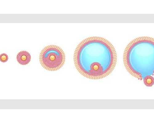 代怀包男孩多少钱_代怀孩子哪家靠谱,上海试管代怀包儿子多少钱？附费用明细