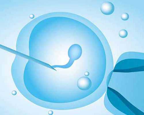 代怀包男孩价格_代怀孕哪家专业,为了要儿子去做美国试管婴儿却对不起女儿