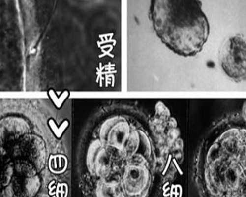代怀产子_三代试管多少钱,子宫发育不良能做试管婴儿吗？-深圳私立医院供卵试