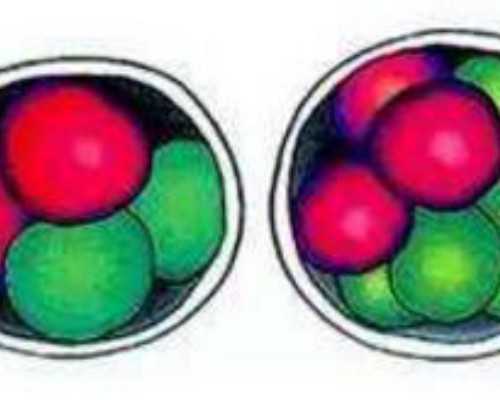 代怀哪里靠谱_找代怀妈妈,试管婴儿移植后需要卧床休息几天?试管婴儿移植后能