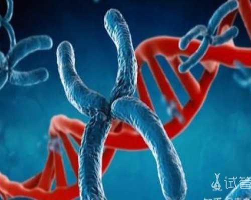 aa69怎么样美国_世纪助孕包成功,北京哪家医院能做试管呢？北京家圆医院做得如