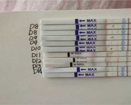 三代试管咨询_代怀中心,美国试管囊胚PGS检查需要多少时间？_供卵试管对女性的