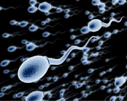 湖南试管婴儿成功率排行,私立代生助孕