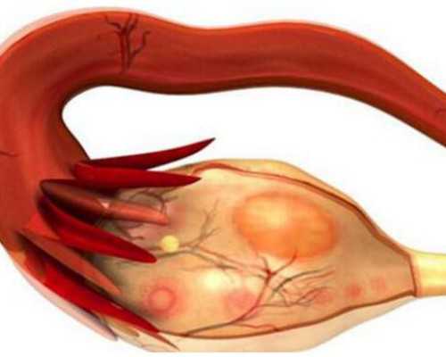 专业供卵_aa69公司在哪,试管婴儿中生化妊娠并不可怕，学会应对方法才是重点！