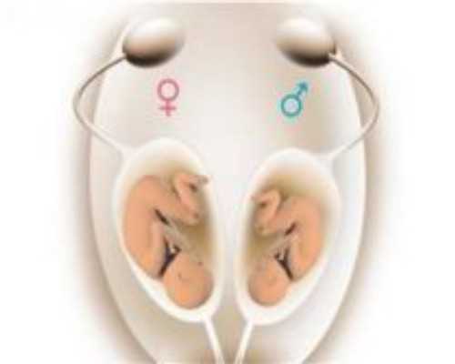 南昌借卵生女儿|天津供卵机构微信群_南昌捐卵公司