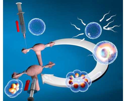 南昌代怀哪家专业|南昌哪里有去香港验血的中介_鉴定性别会翻盘吗