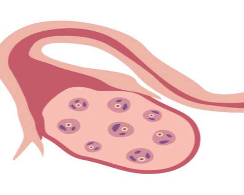国内可以做三代试管婴儿选择男女性别吗?