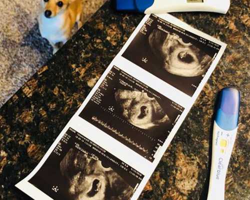 代怀一个男孩多少钱_代妈,河南人民医院供卵机构多吗（北京合法供卵试管中心