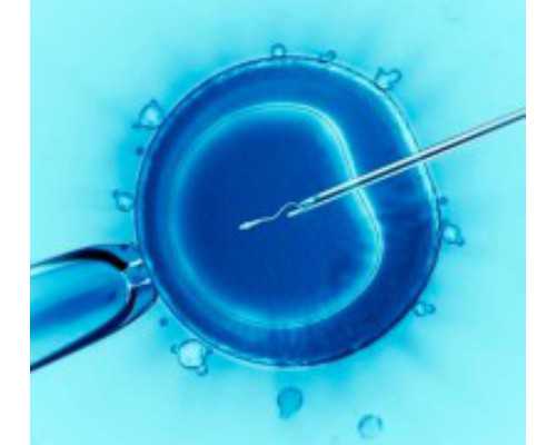 代怀公司哪家好_代怀生子保密咨询,海南试管代怀生子机构名单公开,2026
海南供