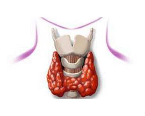 宿迁供卵机构,国内供卵机构