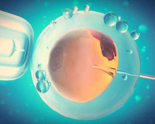 65万包成功_代怀专业吗,2026
北京私立供卵试管价格附正规医院名单_湖北幼儿园