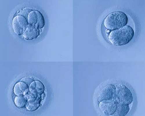 哪里代怀最好_供卵代怀孩子,2026
海南三代试管生男孩医院榜单发布，附最新试