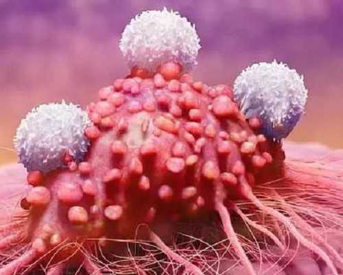 怀孕做产检时间表_育儿假是带薪休假吗,多吃油菜薹能“助孕”？油菜薹怎么做