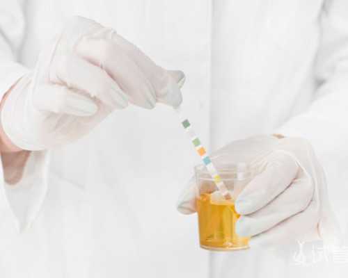 三代助孕试管怎么做_365助孕,试管14天血值多少正常-在上海找供卵去哪里-医院挂