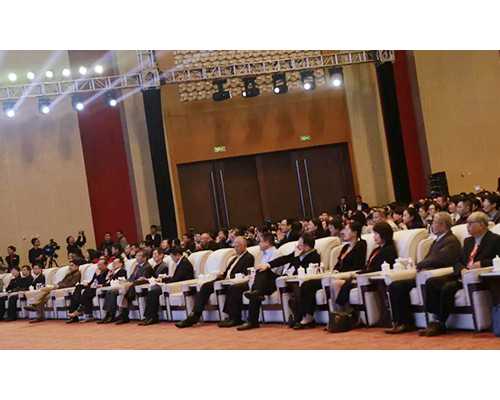 三代试管都是男孩_39岁囊胚成功率,试管婴儿胚胎移植究竟一个好还是两个好？