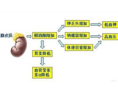 365助孕中心官网_aa69助孕价格,试管婴儿移植失败前兆是什么？_试管移植后可以