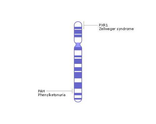 代怀孕代怀孕_找人代怀生孩子,陈述"试管婴儿"与克隆技术有什么区别