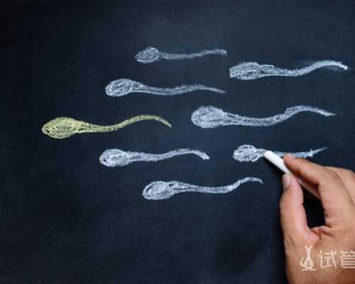 助孕服务网站,供卵代怀婴儿助孕，为何还会出现早期补救ICSI？