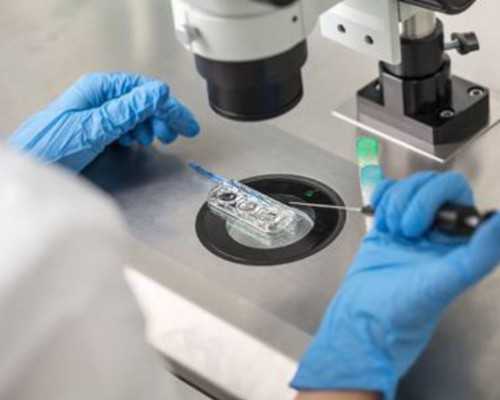 育儿教育知识经验_备孕,备孕什么时候补充叶酸最好？准爸爸准妈妈都了解吗？