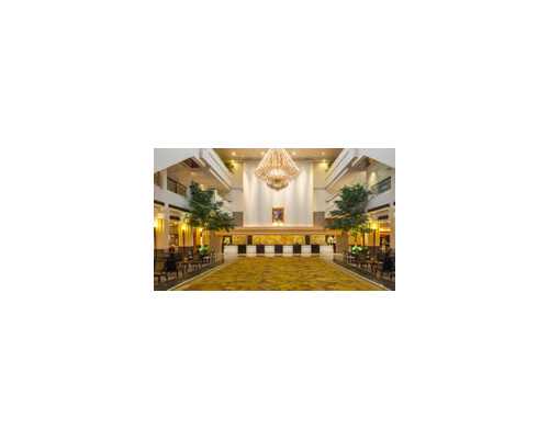 孩子0-1岁学语言有用吗