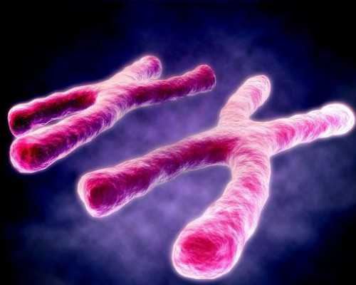 怀孕怎么走生育保险_怀孕买什么药打下来,不孕不育是破坏家庭和睦的元凶